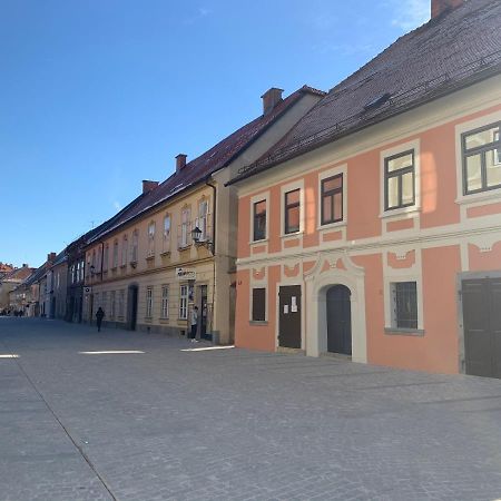 Apartament Bella Donna Maribor Zewnętrze zdjęcie