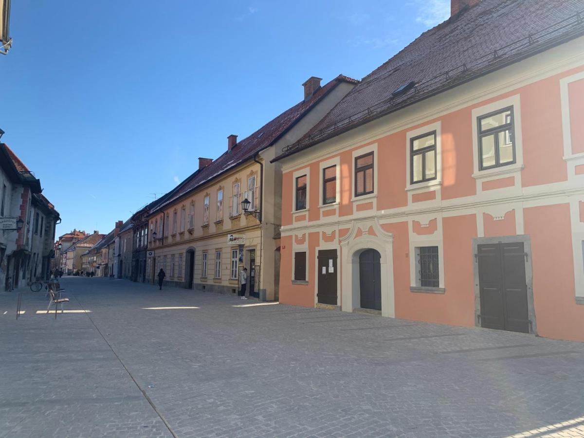 Apartament Bella Donna Maribor Zewnętrze zdjęcie